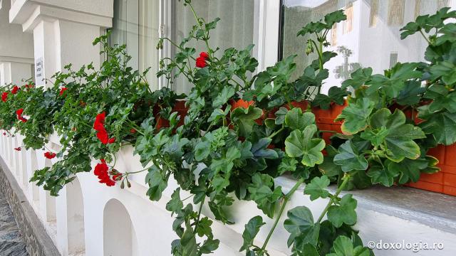 „Drumul prin nori”: pelerinaj la Mănăstirea Sfântul Ilie Paltinul, pe Transfăgărășan / Foto: Crina Zamfirescu Mănăstirea Sfântul Ilie Paltinul