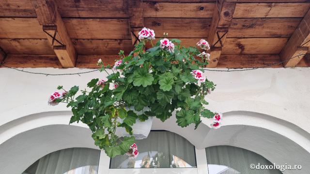 „Drumul prin nori”: pelerinaj la Mănăstirea Sfântul Ilie Paltinul, pe Transfăgărășan / Foto: Crina Zamfirescu Mănăstirea Sfântul Ilie Paltinul
