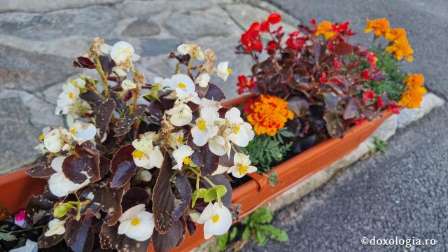 „Drumul prin nori”: pelerinaj la Mănăstirea Sfântul Ilie Paltinul, pe Transfăgărășan / Foto: Crina Zamfirescu Mănăstirea Sfântul Ilie Paltinul
