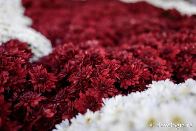(Foto) Florile Sfintei Parascheva – jertfă în culori pentru Ocrotitoarea Moldovei