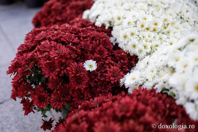(Foto) Florile Sfintei Parascheva – jertfă în culori pentru Ocrotitoarea Moldovei