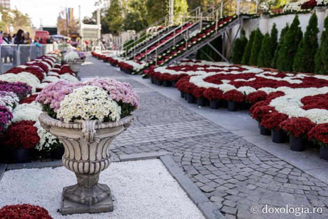 (Foto) Florile Sfintei Parascheva – jertfă în culori pentru Ocrotitoarea Moldovei