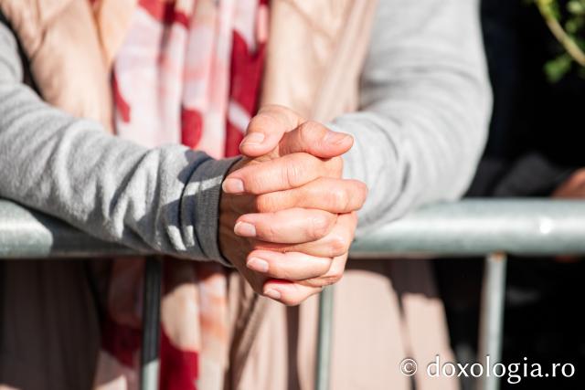 Rugăciune și bucurie: uniți sub ocrotirea Sfintei Parascheva și a Sfântului Pantelimon, Vindecătorul / Foto: Oana Nechifor Rugăciune și bucurie: uniți sub ocrotirea Sfintei Parascheva și a Sfântului Pantelimon, Vindecătorul