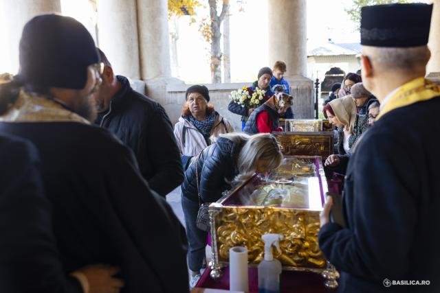 Pelerini pe Colina Bucuriei, rugători înaintea raclei Sfântului Dimitrie Basarabov / Foto: Mircea Florescu / basilica.ro Pelerini pe Colina Bucuriei, rugători înaintea raclei Sfântului Dimitrie Basarabov