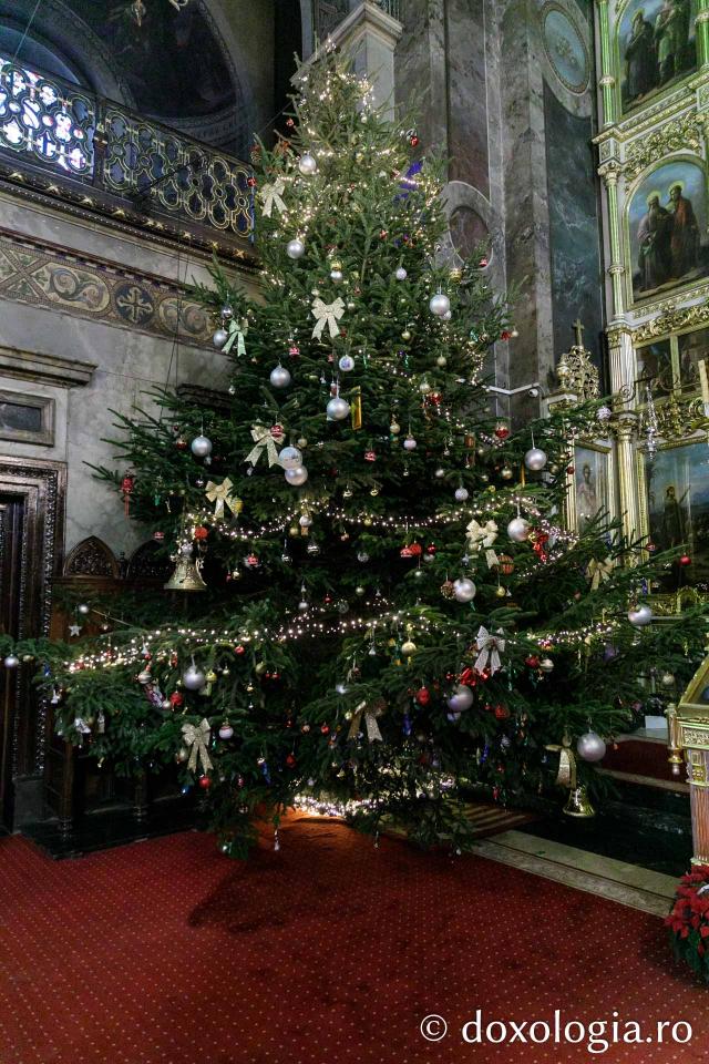Bradul de Crăciun de la Catedrala Mitropolitană din Iași