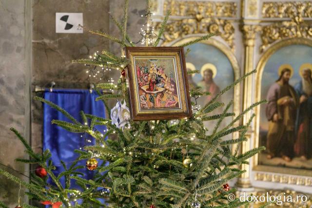Bradul de Crăciun de la Catedrala Mitropolitană din Iași