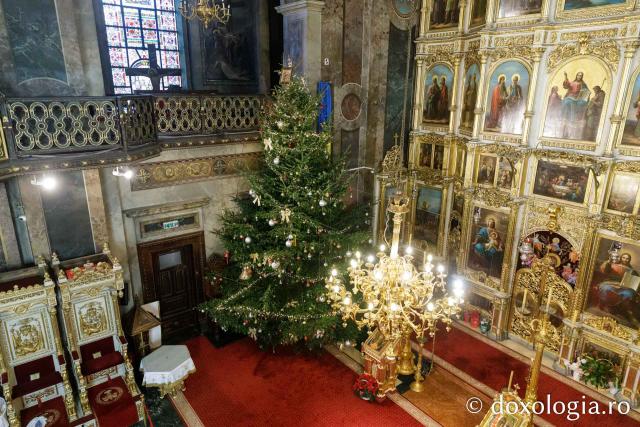 Bradul de Crăciun de la Catedrala Mitropolitană din Iași