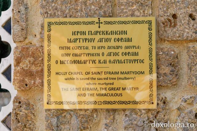 Mănăstirea „Sfântul Efrem cel Nou” de la Nea Makri