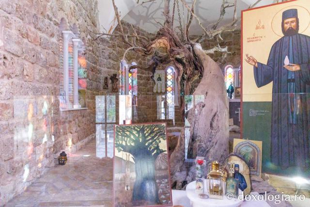 Mănăstirea „Sfântul Efrem cel Nou” de la Nea Makri