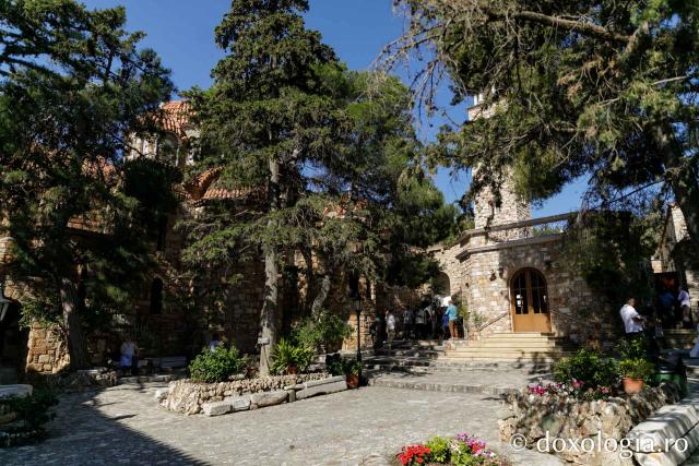 Mănăstirea „Sfântul Efrem cel Nou” de la Nea Makri