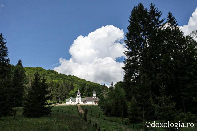 Schitul Sfântul Nifon, Vânători Neamț