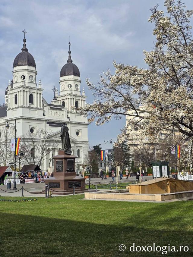 Iașul în floare