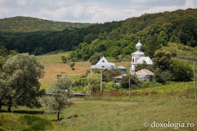 Mănăstirea Cozancea