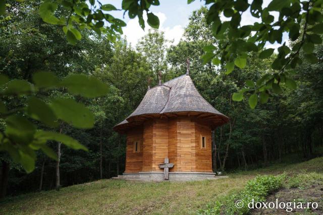 Mănăstirea Cozancea