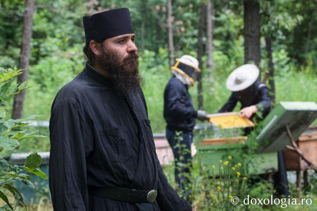Mănăstirea Cozancea