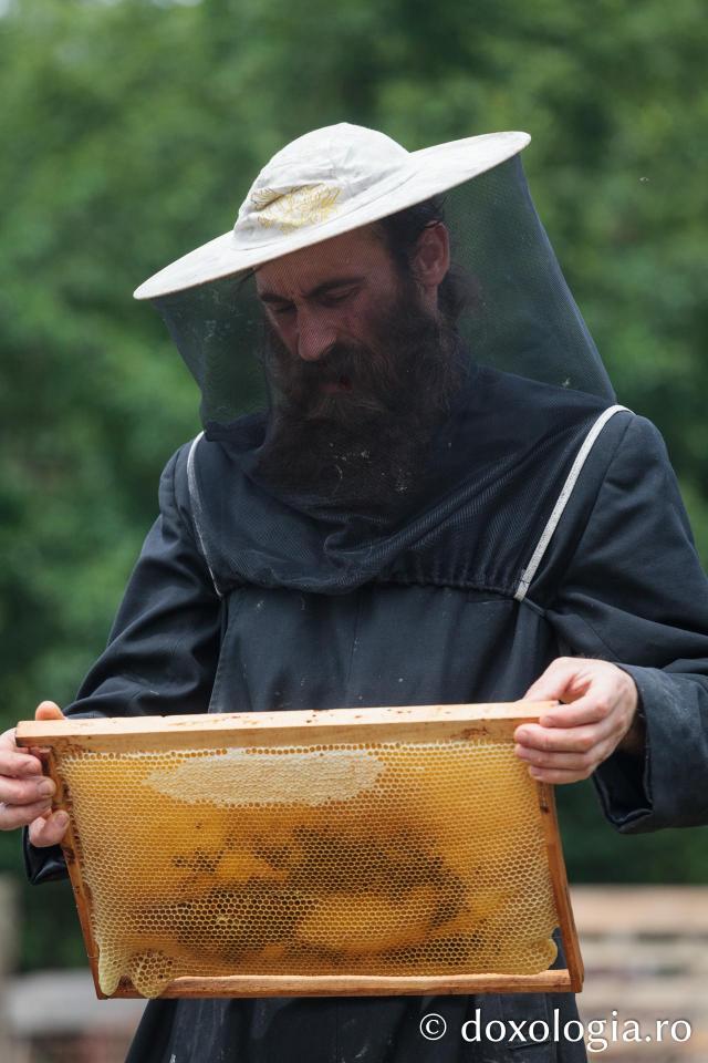 Mănăstirea Cozancea
