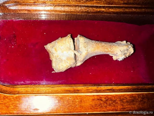 Moaștele Sfintei Mare Mucenițe Ecaterina - Mănăstirea „Sfânta Ecaterina” – un far al credinței și istoriei în inima Sinaiului