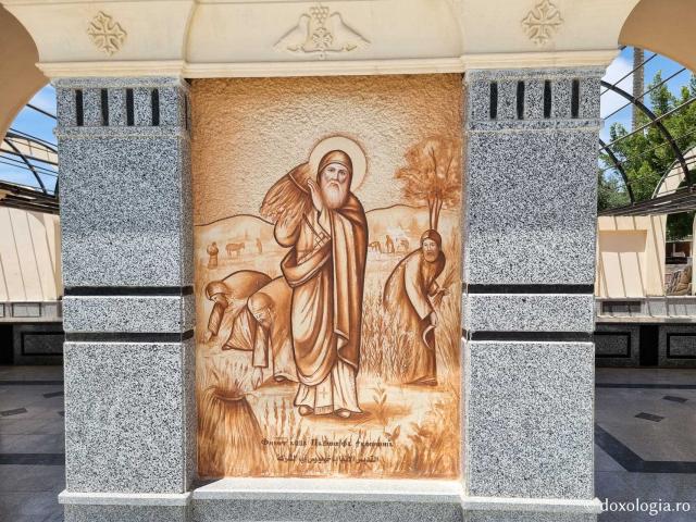 Avva Veniam  - File de Pateric – părinții nevoitori din pustia Egiptului