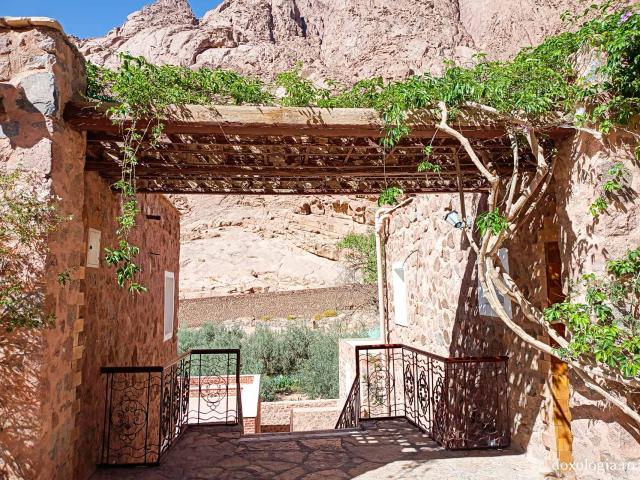 Florile de la Mănăstirea „Sfânta Ecaterina” din Sinai