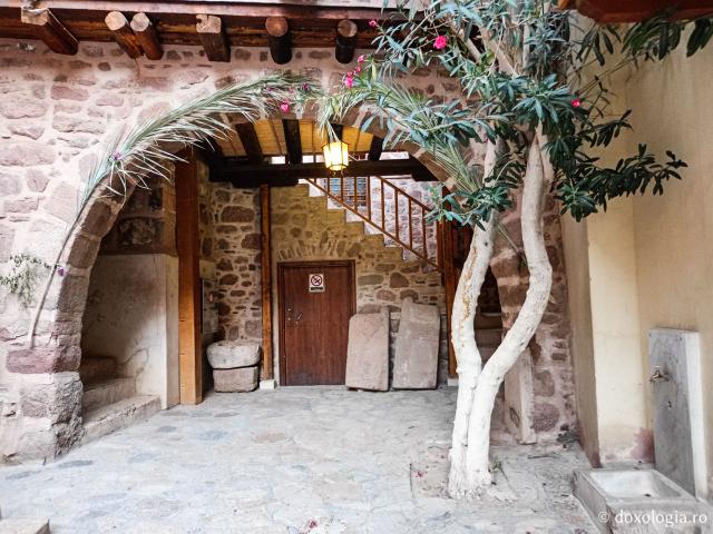 Florile de la Mănăstirea „Sfânta Ecaterina” din Sinai