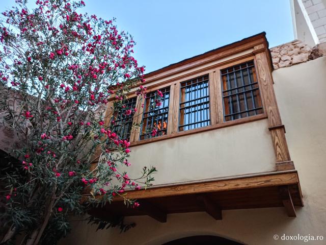 Florile de la Mănăstirea „Sfânta Ecaterina” din Sinai