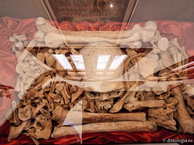 Clipe de rugăciune în Paraclisul Sfântului Paisie Aghioritul de la Mănăstirea Faran din Sinai / Foto: Magda Buftea Clipe de rugăciune în Paraclisul Sfântului Paisie Aghioritul de la Mănăstirea Faran din Sinai