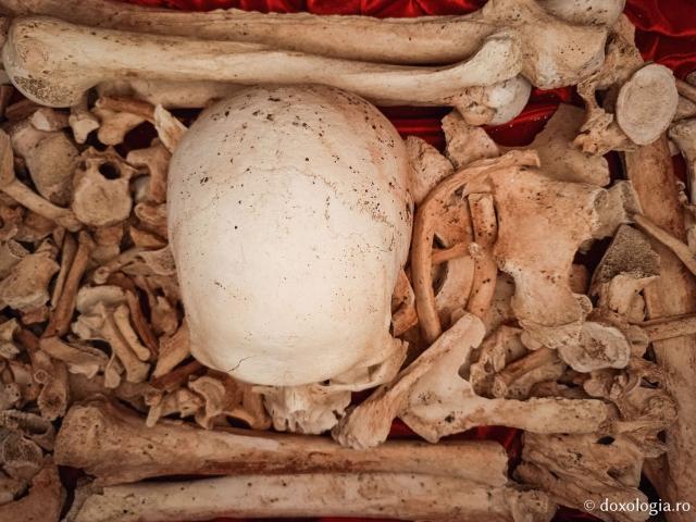 Clipe de rugăciune în Paraclisul Sfântului Paisie Aghioritul de la Mănăstirea Faran din Sinai