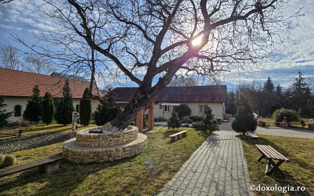 Mănăstirea „Sfânta Elisabeta” – așezământ monahal în inima Clujului