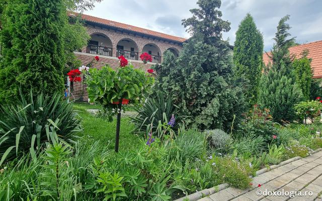 Mănăstirea „Sfânta Elisabeta” – așezământ monahal în inima Clujului