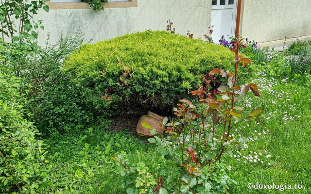 Mănăstirea „Sfânta Elisabeta” – așezământ monahal în inima Clujului