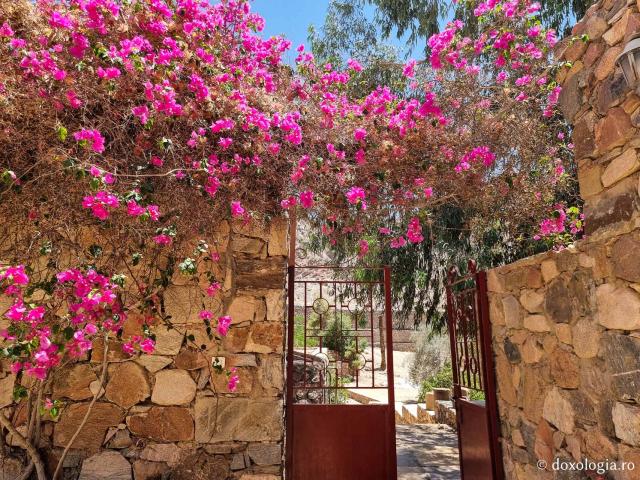 Mănăstirea celor Șapte Fecioare din Sinai – așezământul ridicat pe locul din care a izvorât apă când Moise a lovit stânca cu toiagul / Foto: Magda Buftea Mănăstirea celor Șapte Fecioare din Sinai – așezământul ridicat pe locul din care a izvorât apă când Moise a lovit stânca cu toiagul