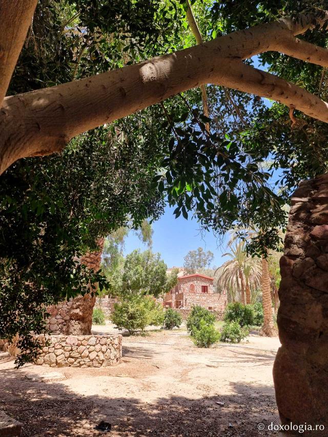 Mănăstirea celor Șapte Fecioare din Sinai – așezământul ridicat pe locul din care a izvorât apă când Moise a lovit stânca cu toiagul / Foto: Magda Buftea Mănăstirea celor Șapte Fecioare din Sinai – așezământul ridicat pe locul din care a izvorât apă când Moise a lovit stânca cu toiagul