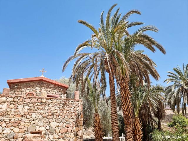 Mănăstirea celor Șapte Fecioare din Sinai – așezământul ridicat pe locul din care a izvorât apă când Moise a lovit stânca cu toiagul / Foto: Magda Buftea Mănăstirea celor Șapte Fecioare din Sinai – așezământul ridicat pe locul din care a izvorât apă când Moise a lovit stânca cu toiagul