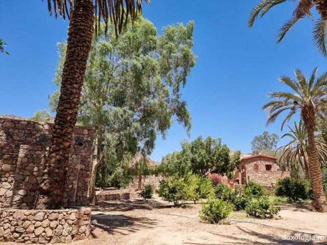 Mănăstirea celor Șapte Fecioare din Sinai – așezământul ridicat pe locul din care a izvorât apă când Moise a lovit stânca cu toiagul / Foto: Magda Buftea Mănăstirea celor Șapte Fecioare din Sinai – așezământul ridicat pe locul din care a izvorât apă când Moise a lovit stânca cu toiagul