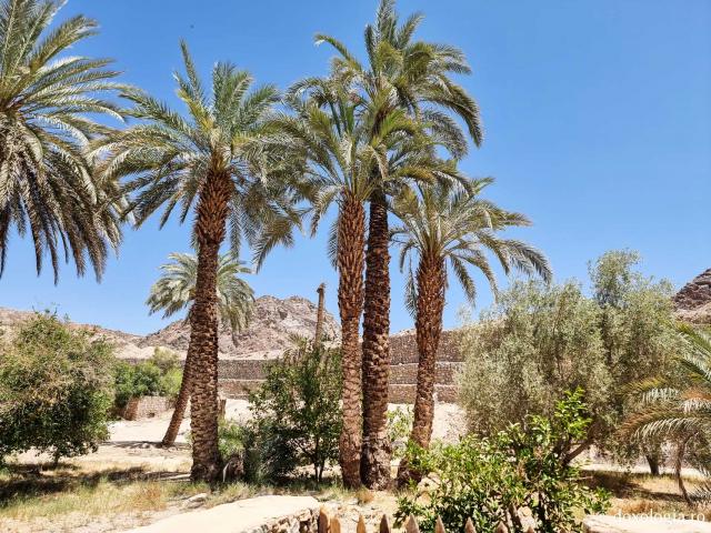 Mănăstirea celor Șapte Fecioare din Sinai – așezământul ridicat pe locul din care a izvorât apă când Moise a lovit stânca cu toiagul / Foto: Magda Buftea Mănăstirea celor Șapte Fecioare din Sinai – așezământul ridicat pe locul din care a izvorât apă când Moise a lovit stânca cu toiagul