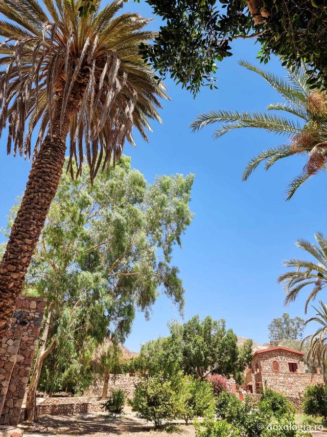 Mănăstirea celor Șapte Fecioare din Sinai – așezământul ridicat pe locul din care a izvorât apă când Moise a lovit stânca cu toiagul / Foto: Magda Buftea Mănăstirea celor Șapte Fecioare din Sinai – așezământul ridicat pe locul din care a izvorât apă când Moise a lovit stânca cu toiagul