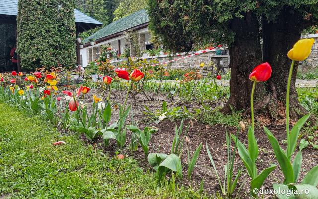 Biserica închinată Sfintei Treimi a Mănăstirii Sinaia