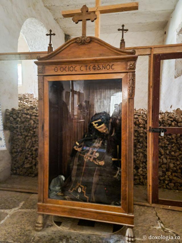 Închinare la moaștele Sfântului Cuvios Ștefan Sinaitul