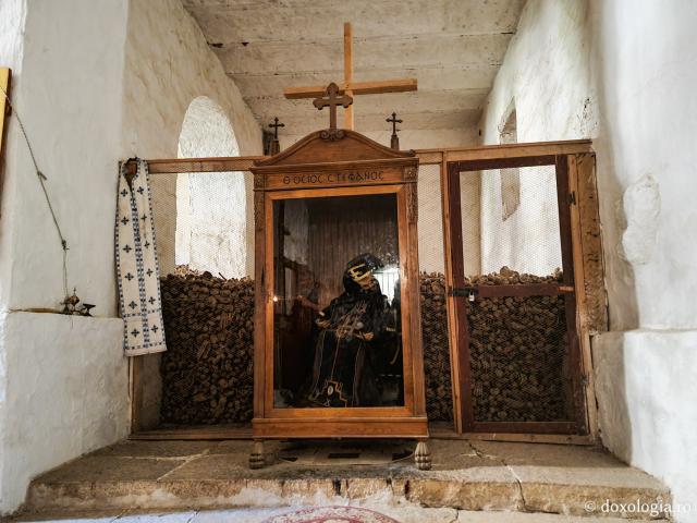 Închinare la moaștele Sfântului Cuvios Ștefan Sinaitul