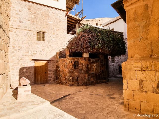 Rugul aprins de pe Muntele Sinai – o minunată preînchipuire a Preasfintei Născătoare de Dumnezeu / Foto: Magda Buftea Rugul aprins de pe Muntele Sinai – o minunată preînchipuire a Preasfintei Născătoare de Dumnezeu
