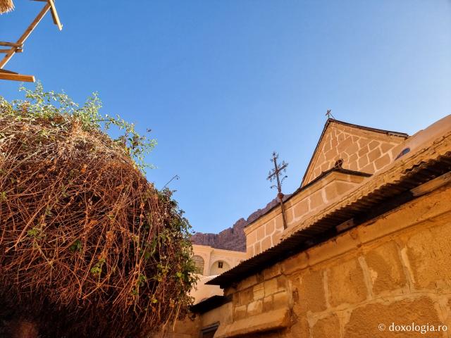 Rugul aprins de pe Muntele Sinai – o minunată preînchipuire a Preasfintei Născătoare de Dumnezeu / Foto: Magda Buftea Rugul aprins de pe Muntele Sinai – o minunată preînchipuire a Preasfintei Născătoare de Dumnezeu