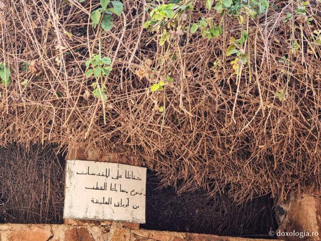 Rugul aprins de pe Muntele Sinai – o minunată preînchipuire a Preasfintei Născătoare de Dumnezeu / Foto: Magda Buftea Rugul aprins de pe Muntele Sinai – o minunată preînchipuire a Preasfintei Născătoare de Dumnezeu