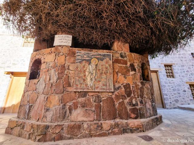 Rugul aprins de pe Muntele Sinai – o minunată preînchipuire a Preasfintei Născătoare de Dumnezeu / Foto: Magda Buftea Rugul aprins de pe Muntele Sinai – o minunată preînchipuire a Preasfintei Născătoare de Dumnezeu