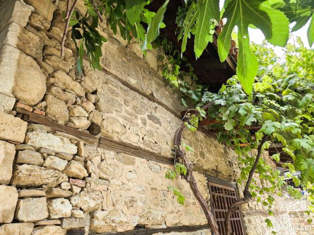 „Sveti Spas” – bisericuța simplă din Nessebar, dar cu fresce remarcabile