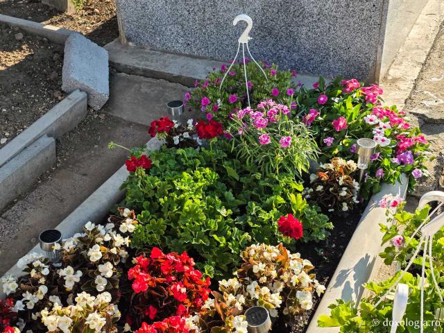 Mormântul Schimonahiei Elisabeta Lazăr, pustnica Giumalăului