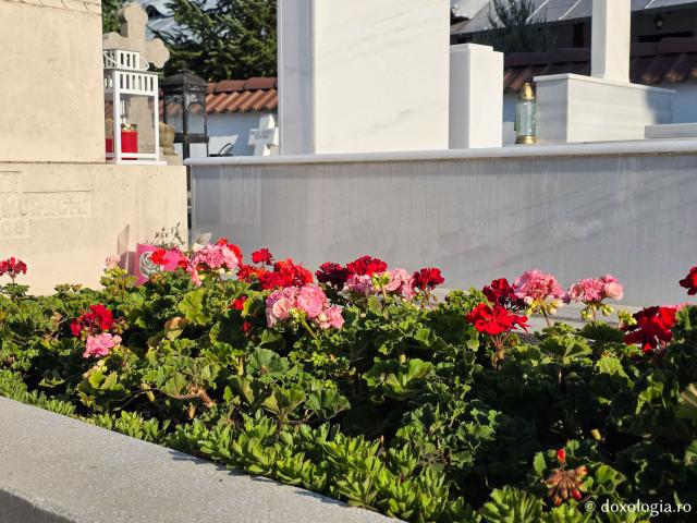Mormântul Schimonahiei Filofteia Antonescu, mama Sfântului Ierarh Calinic de la Cernica / Foto: Magda Buftea Mormântul Schimonahiei Filofteia Antonescu, mama Sfântului Ierarh Calinic de la Cernica