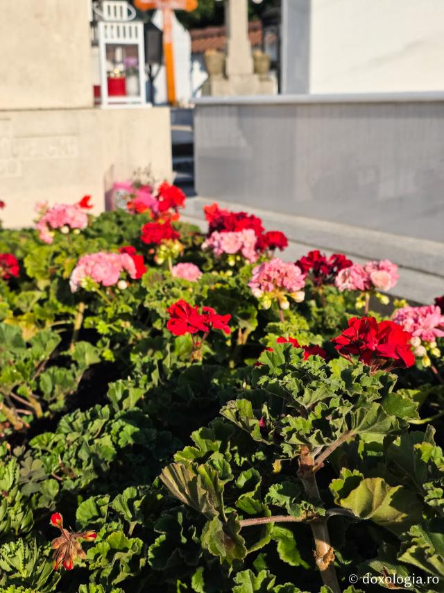 Mormântul Schimonahiei Filofteia Antonescu, mama Sfântului Ierarh Calinic de la Cernica / Foto: Magda Buftea Mormântul Schimonahiei Filofteia Antonescu, mama Sfântului Ierarh Calinic de la Cernica