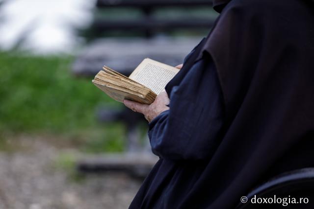 (Foto) Rugăciune și liniște în „Grădina cu sfinți” de la Mănăstirea Sihăstria