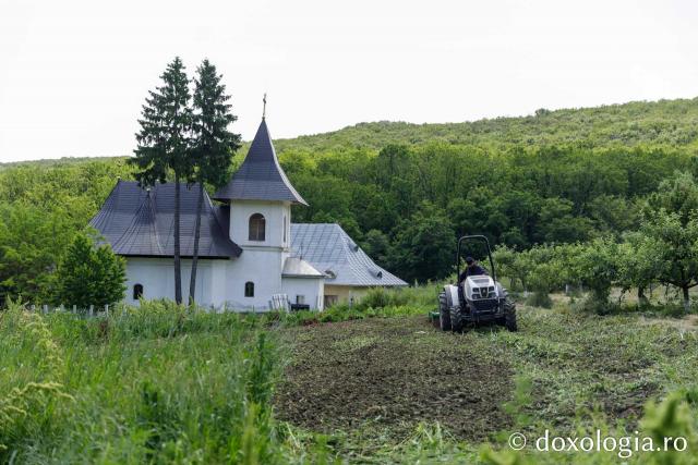 Mănăstirea Cozancea
