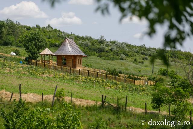 Mănăstirea Cozancea